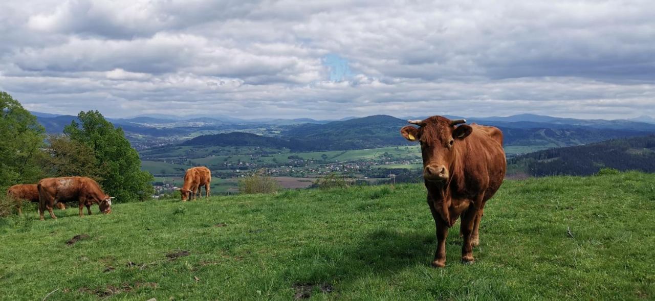 CHalupa Relax Dolní Lomná Bagian luar foto